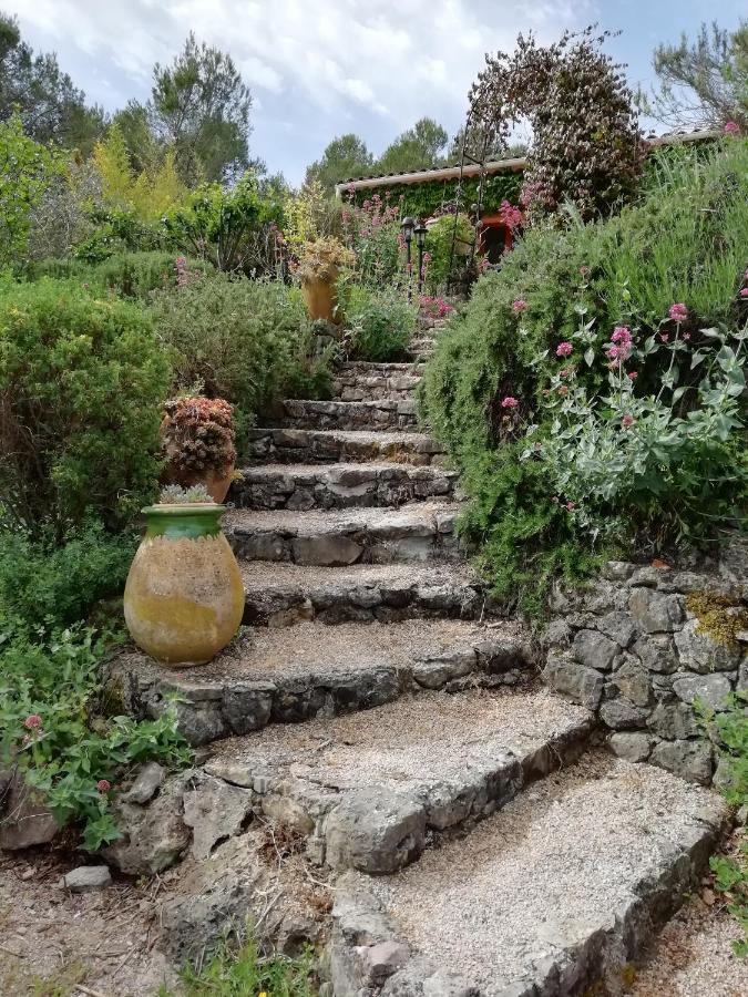 Chambre D'Hote Le Mas Des Romarins Les Arcs-sur-Argens Kültér fotó