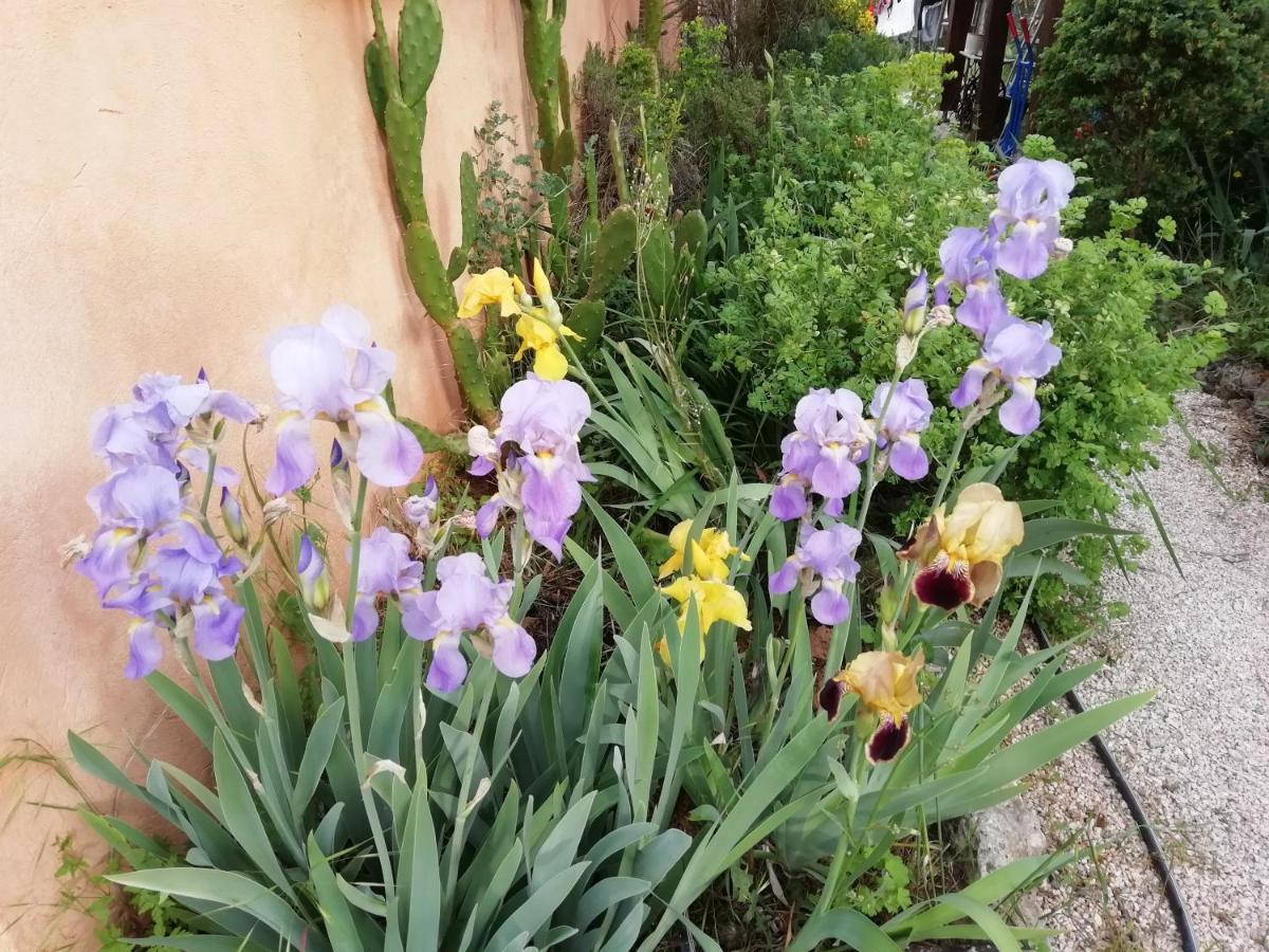 Chambre D'Hote Le Mas Des Romarins Les Arcs-sur-Argens Kültér fotó