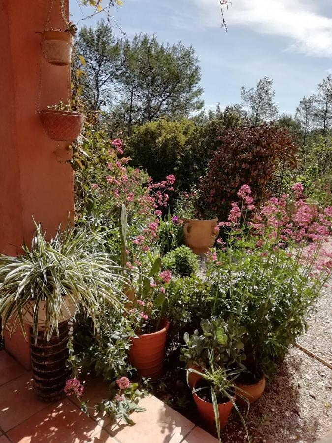 Chambre D'Hote Le Mas Des Romarins Les Arcs-sur-Argens Kültér fotó