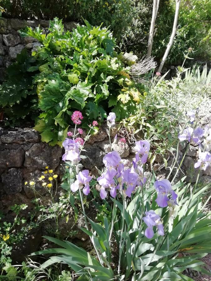 Chambre D'Hote Le Mas Des Romarins Les Arcs-sur-Argens Kültér fotó