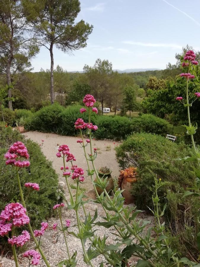 Chambre D'Hote Le Mas Des Romarins Les Arcs-sur-Argens Kültér fotó